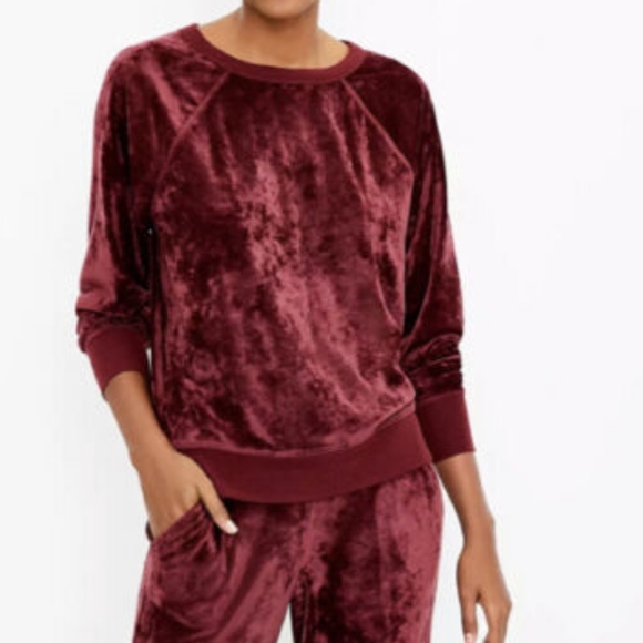 Lou & Grey Tops - LOFT Lou & Grey Velour Sweatshirt. Size S